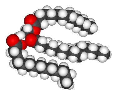 三酸甘油脂分子