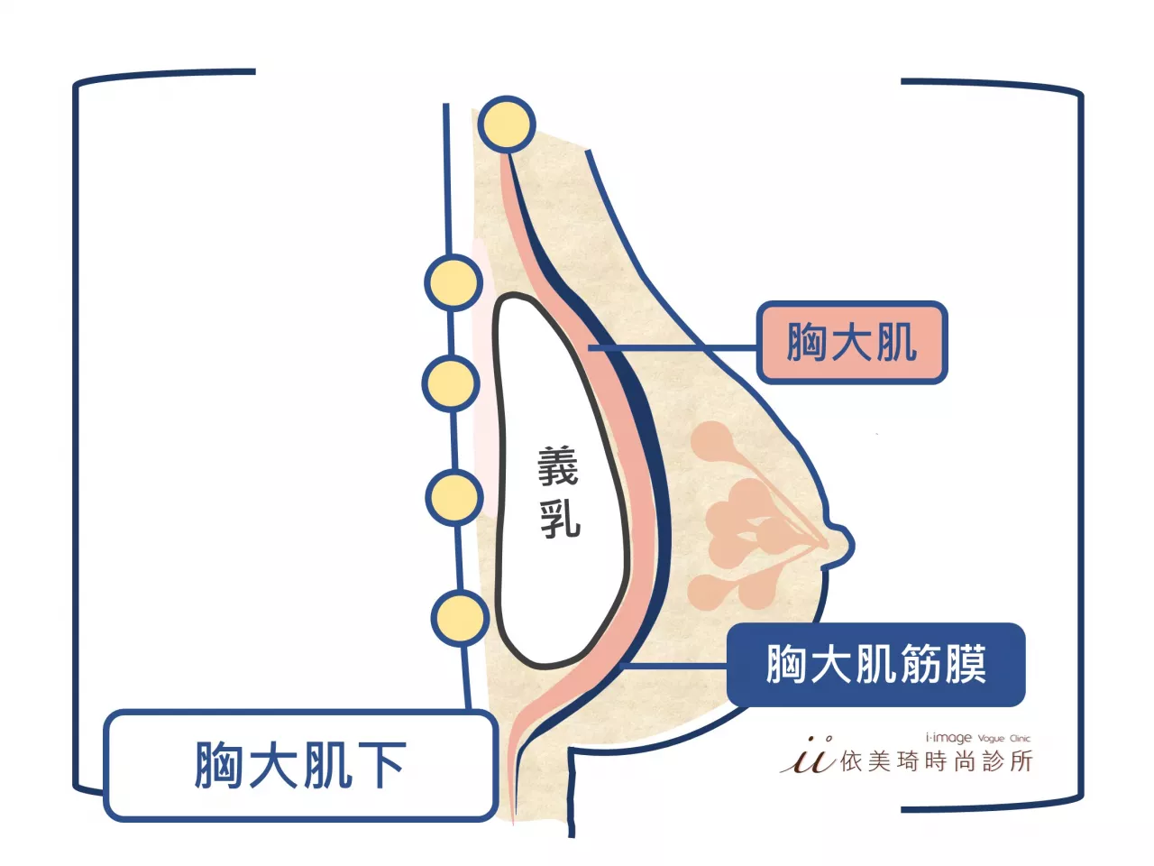 肌肉下