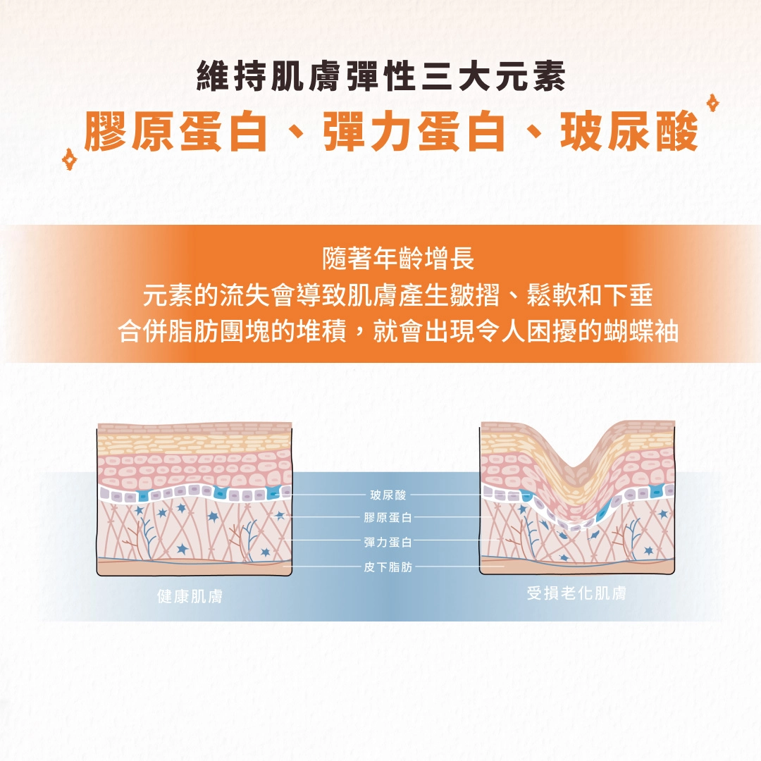 維持肌膚彈性三大元素