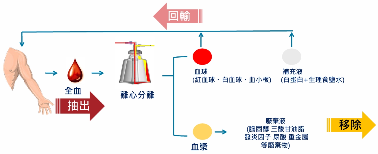 血液淨化
