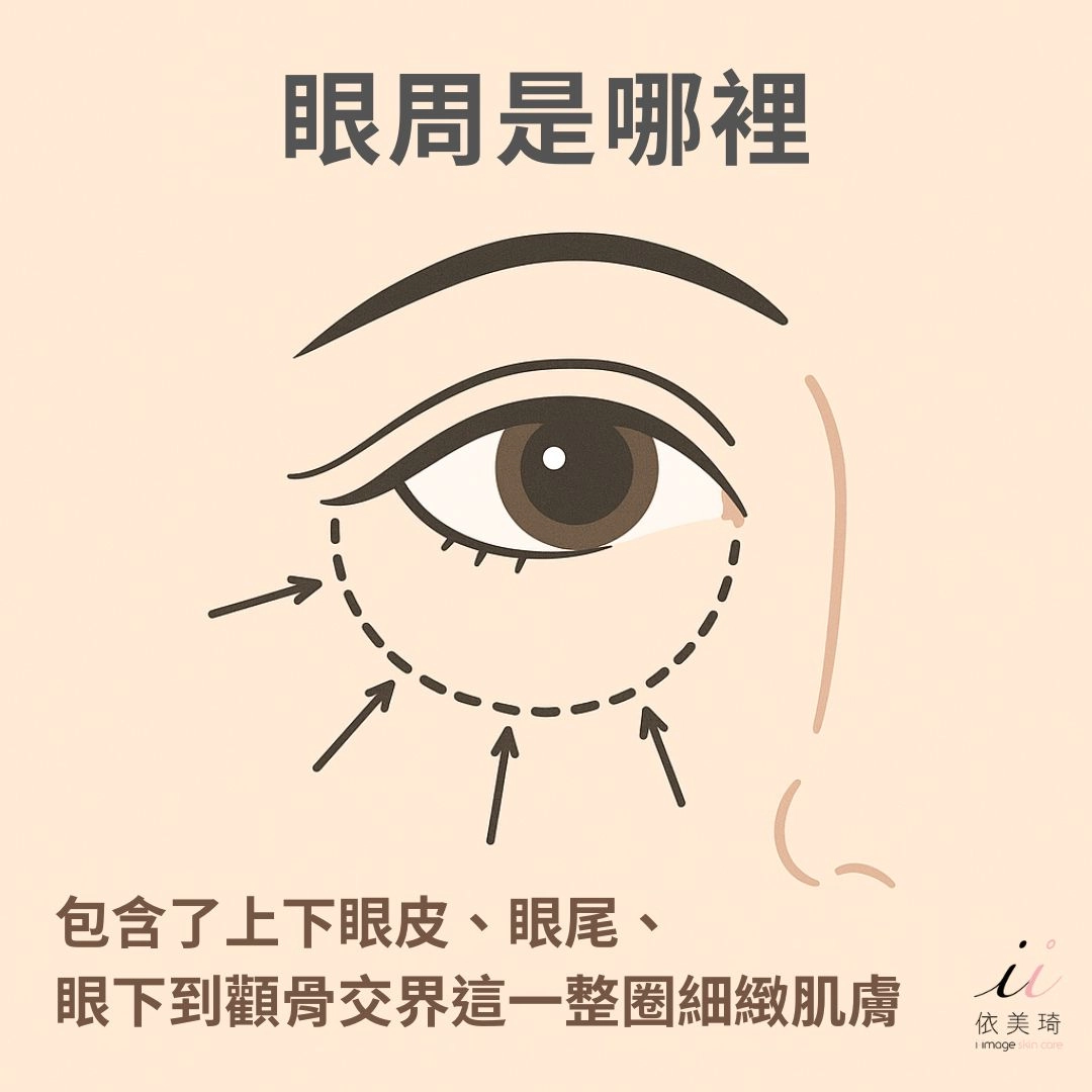 眼周是哪裡