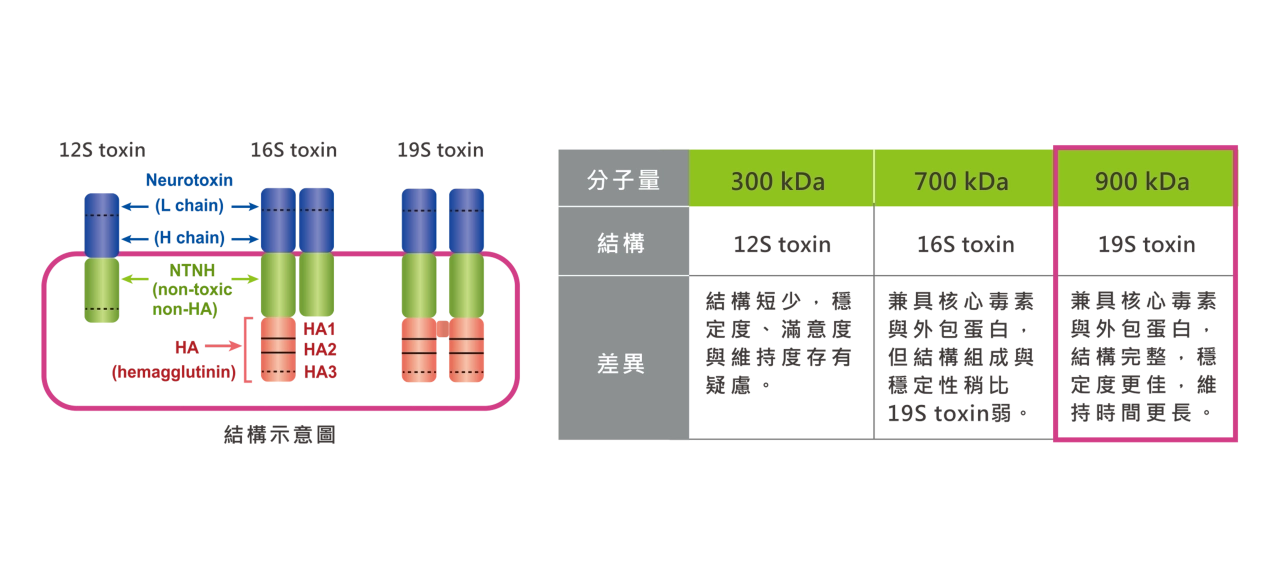 高純度900kDa維持滿意度佳