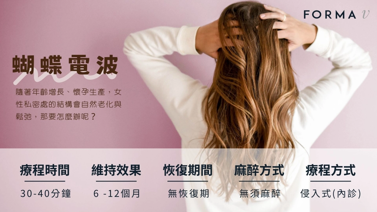 蝴蝶電波 | 首圖