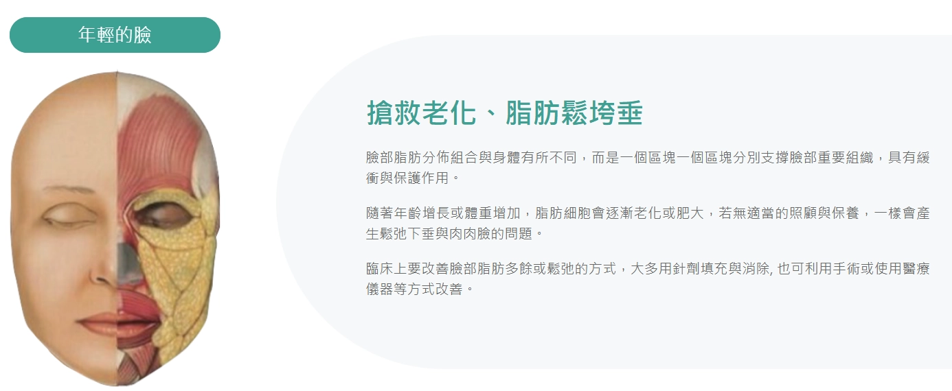 臉部困擾