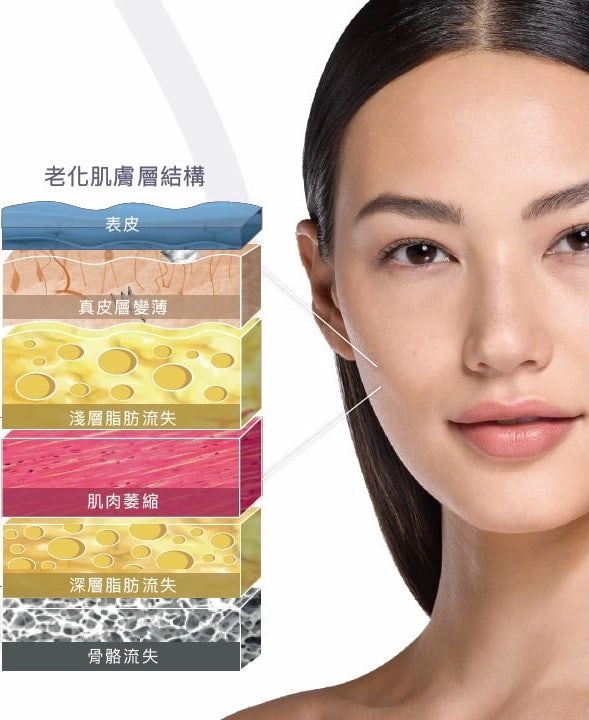皮膚老化肌膚層結構分析
