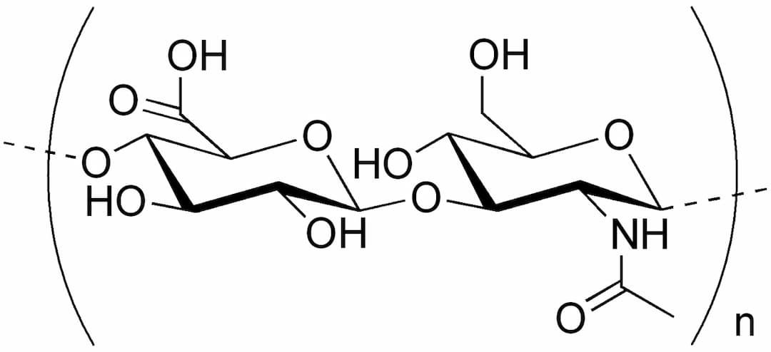 玻尿酸的化學鍵分子結構