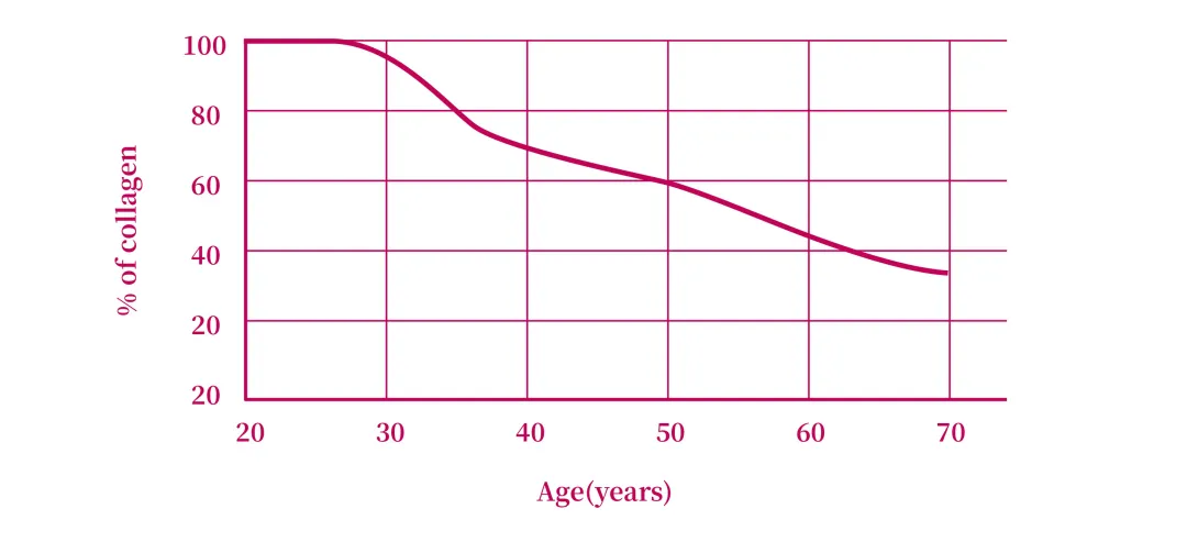 不同年齡層的皮膚狀況曲線表