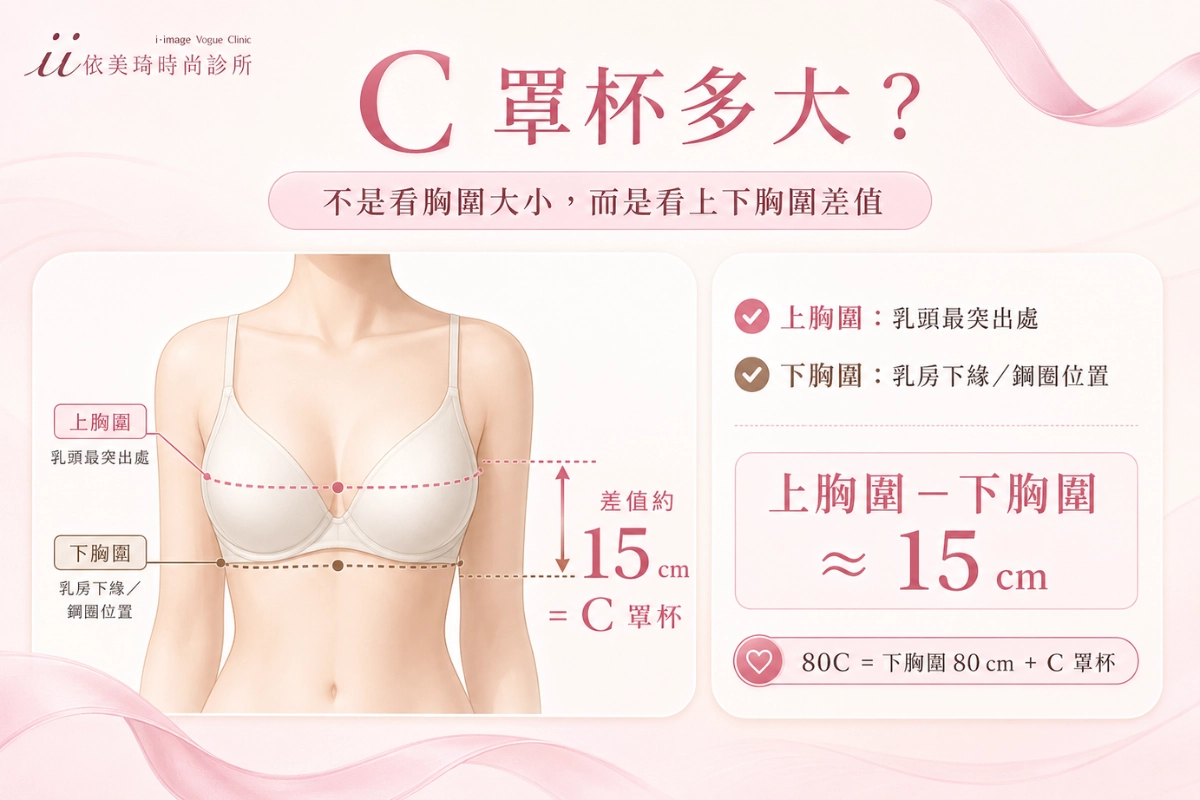 C 罩杯多大