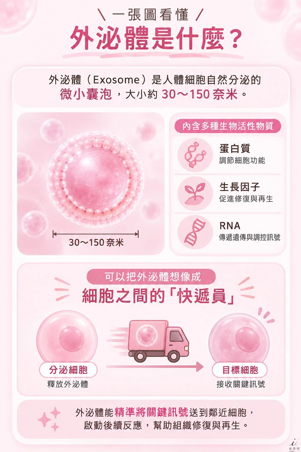 外泌體是一種由人體細胞自然分泌的微小囊泡，大小約 30 ～ 150 奈米，內含蛋白質、生長因子與 RNA 等生物活性物質。可以把它想像成細胞之間的「快遞員」，負責把關鍵訊號精準送到鄰近細胞，啟動後續反應。
